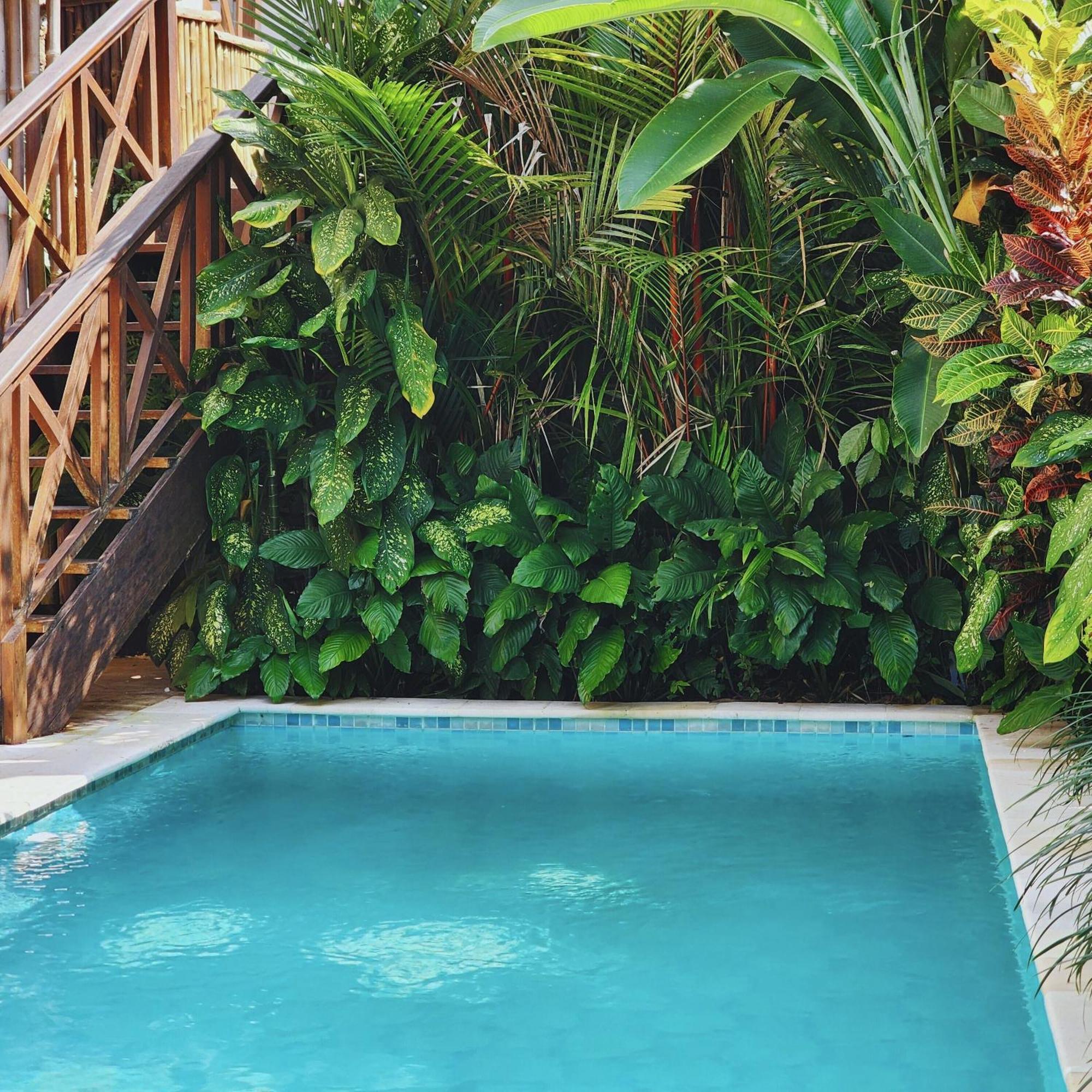 Danaya'S Villa Ubud Buitenkant foto